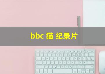 bbc 猫 纪录片